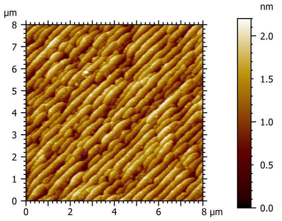 Topography of the BaTiO3 sample.