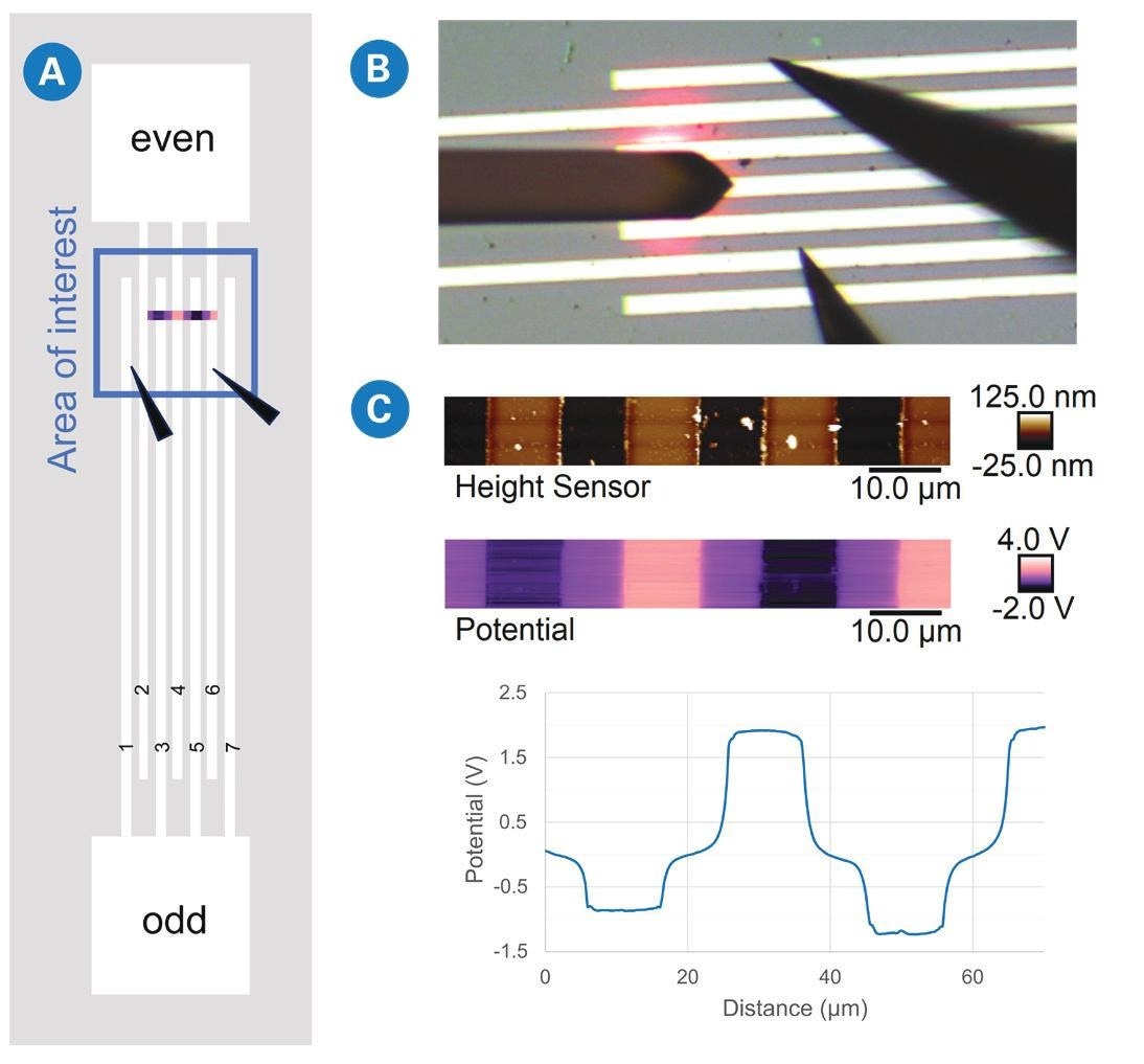 (a) Schematic representation and (b) optical camera image of Imina microprobers positioned onto a structure with interlaced lines. (c) KPFM data collected from the area of interest in (a) while a voltage of -2 V is applied to the odd lines and +2 V to the even lines. The average potential profile is also plotted over the same scan distance.