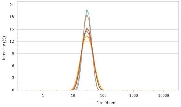 Correlation functions (top) and size distributions (bottom) of 2× diluted sample #2 detected at 90°.