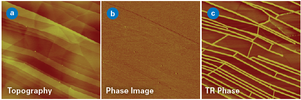 Freshly cleaved HOPG surface imaged with interleaved TappingMode and TR-Mode, with image sizes of 3x3 µm: (a) topography (5 nm height scale); (b) phase image obtained in TappingMode; and (c) phase image obtained in TR-Mode (both 10° scale) showing >10x higher sensitivity to water present at the steps