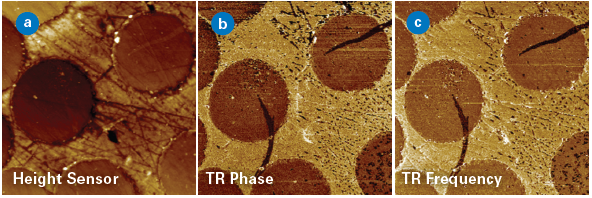 Cross-sectioned carbon fibers embedded in epoxy imaged (20x20 µm) with TRDFM: (a) height map from contact mode imaging and (b) TR phase image showing strong contrast related to mechanical properties of the two components. (c) PLL operation can be added to adjust the measured phase shift, creating an image of variations in the torsional contact resonance frequency
