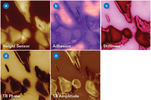 TR-DFM performed during force volume imaging on a PDES polymer sample, with image sizes of 10x10 µm. (a) Height was measured during force volume imaging. (b) Adhesion and (c) stiffness were extracted from the approach and retract segments in force volume mode, while the torsional resonance signals (d) TR phase and (e) TR amplitude were extracted during the contact time and relate to the shear-force and frictional properties of the sample, respectively