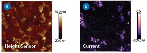 TR-TUNA (a) height and (b) current 5x5 µm images acquired on a carbon sticky tape at -0.5 V sample bias. The carbon nanoparticles which form a percolation path to the back substrate show up in the TR-TUNA current image