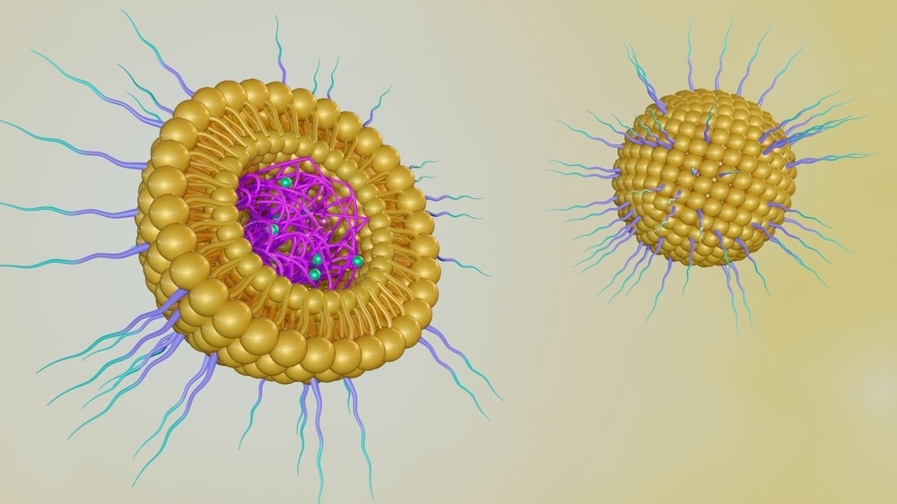 How are Nanoparticles Used for Drug Delivery?