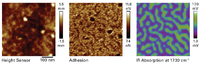 Simultaneous multimodal imaging (height, adhesion, and IR absorption) enabled by REFV AFM-IR