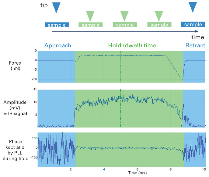 Schematic implementation of REFV AFM-IR, illustrated for a single force volume cycle. The blue outer panels show the approach and retract of the cantilever to and from the sample surface, respectively, with the tip contacting the surface during a user-adjustable hold segment (here 5 ms, green). The middle and bottom spectra respectively show the amplitude (IR absorption) and phase (kept at zero by a PLL) from the resonance-enhanced AFM-IR measurement during the dwell time