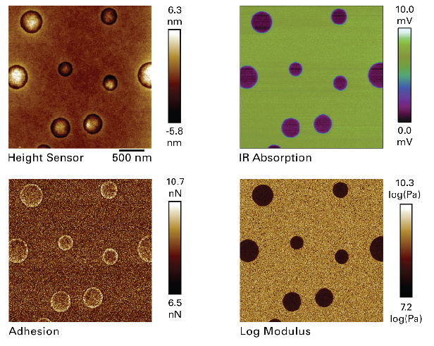 REFV AFM-IR on a PS-LDPE blend with a stiff cantilever (~40 N/m) illustrating simultaneous IR imaging and quantitative nanomechanical property mapping (at the characteristic 1493 cm-1 band for the PS matrix)