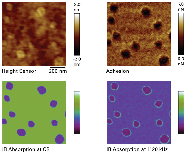 PMMA sample with THF droplets,