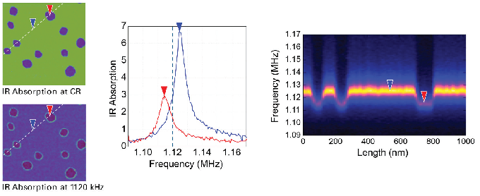 PMMA sample with THF droplets.
