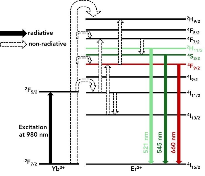 Energy level diagram showing the upconversion process within the NaYF4:Yb,Er nanoparticles