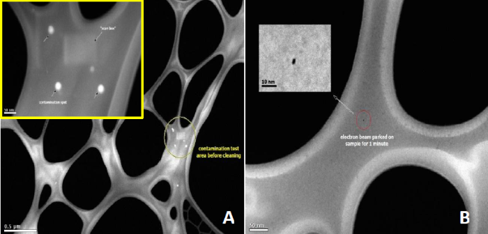 STEM images before (A) and after (B) plasma cleaning of thin carbon films show the absence of contamination artifacts when plasma cleaning is used