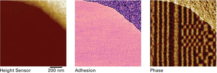 20 TB HDD intentionally covered with some ferrofluidic drops in the top right corner. Topography and adhesion acquired during the main scan, and phase of the oscillating cantilever (representing the magnetic domains) acquired during the LiftMode scan. Scan size: 1x1 µm, lift height: 8 nm, oscillation amplitude: 10 nm. Sample courtesy S. Montoya, University of California San Diego