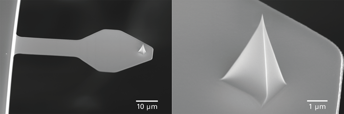 PFMFM-LM probe with nominal spring constant of 0.4 N/m, and resonance frequency of 130 kHz. Cantilever has a length of 60 µm and has a paddle-shaped profile