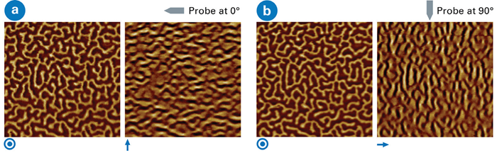 PeakForce MFM with vertical (left in image pairs) and lateral (right in image pairs) magnetic domain imaging. A torsional resonance was applied during the lift scan to acquire the lateral field images. In (a), the probe was oriented at 0°. Upon rotating the sample 90°, the vertical field remains the same, but the lateral field rotates. Tip oscillation direction is indicated beneath each image. Scan size 3.8x3.8 µm. Sample: perpendicular magnetization multilayer [Pt/Co/Pt]x25, courtesy K. Bouzehouane, Université Paris-Saclay