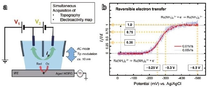 Dual barrel SECCM diagram of the system configuration (a) and SECCM cyclic voltammograms (b)with 5 mM Ru(NH3)6Cl3 (redox couple), 25 mM KCl (reference electrolyte), substrate (WE): HOPG, probe tip diameter: ~ 200 nm, ionic current 24 pA / 100 mV (V2)