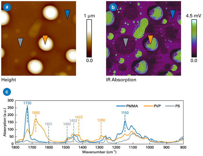 AFM-IR data from a PS-PMMA-PVP blend. Scan sizes 5x5 µm. a) Topography image, b) IR absorption image at 1422 cm-1, c) AFM-IR spectra. Sample courtesy of Philippe LeClere, University of Mons, Belgium