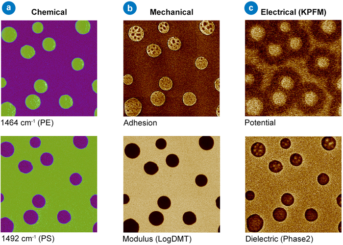 Correlative study of PS/LDPE, providing (a) chemical, (b) mechanical, and (c) electrical characterizations of the polymer blend. Scan sizes 5x5 µm