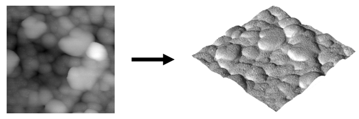 AFM images are essentially height maps that can be used to render the 3D topography