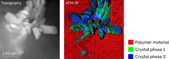 AFM-IR allows microscopists to colorize images with detailed chemical information. Here is a sample with two materials—one of which is a crystal with two different phases