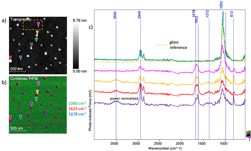 a) Aminosilane coated glass substrate topography. b) combined PiFM image. c) six spectra acquired on locations indicated by triangles in the images along with the averaged bare glass spectrum