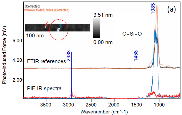 PiF-IR spectrum from a 3 nm particle found on a silicon surface is identified to be a silica particle by searching the Wiley KnowItAll IR library.