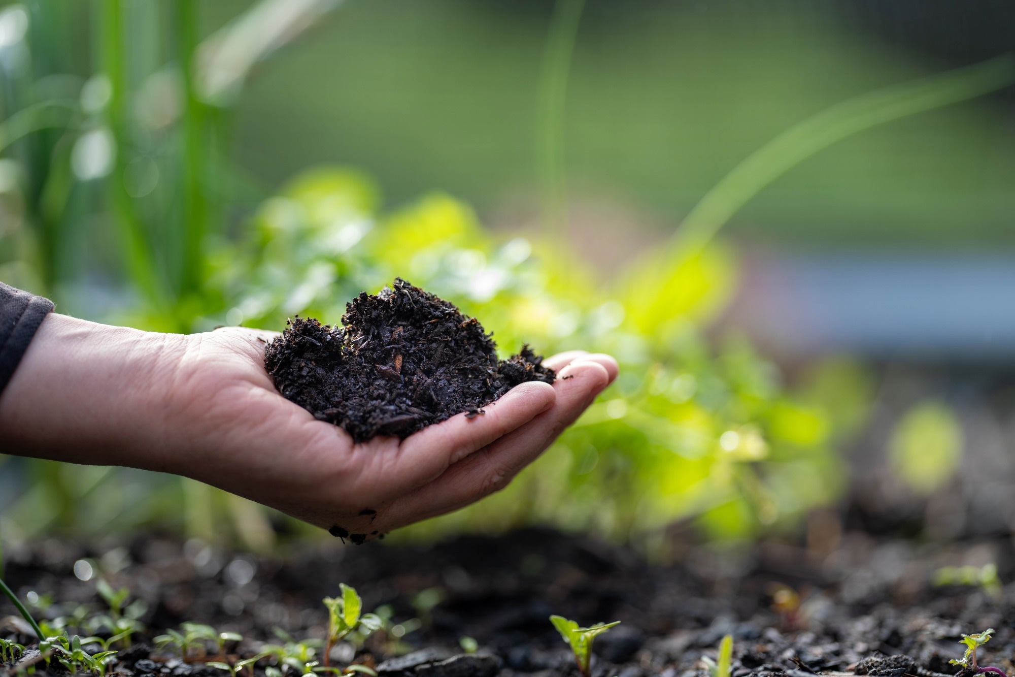 photo of a farmer holding soil