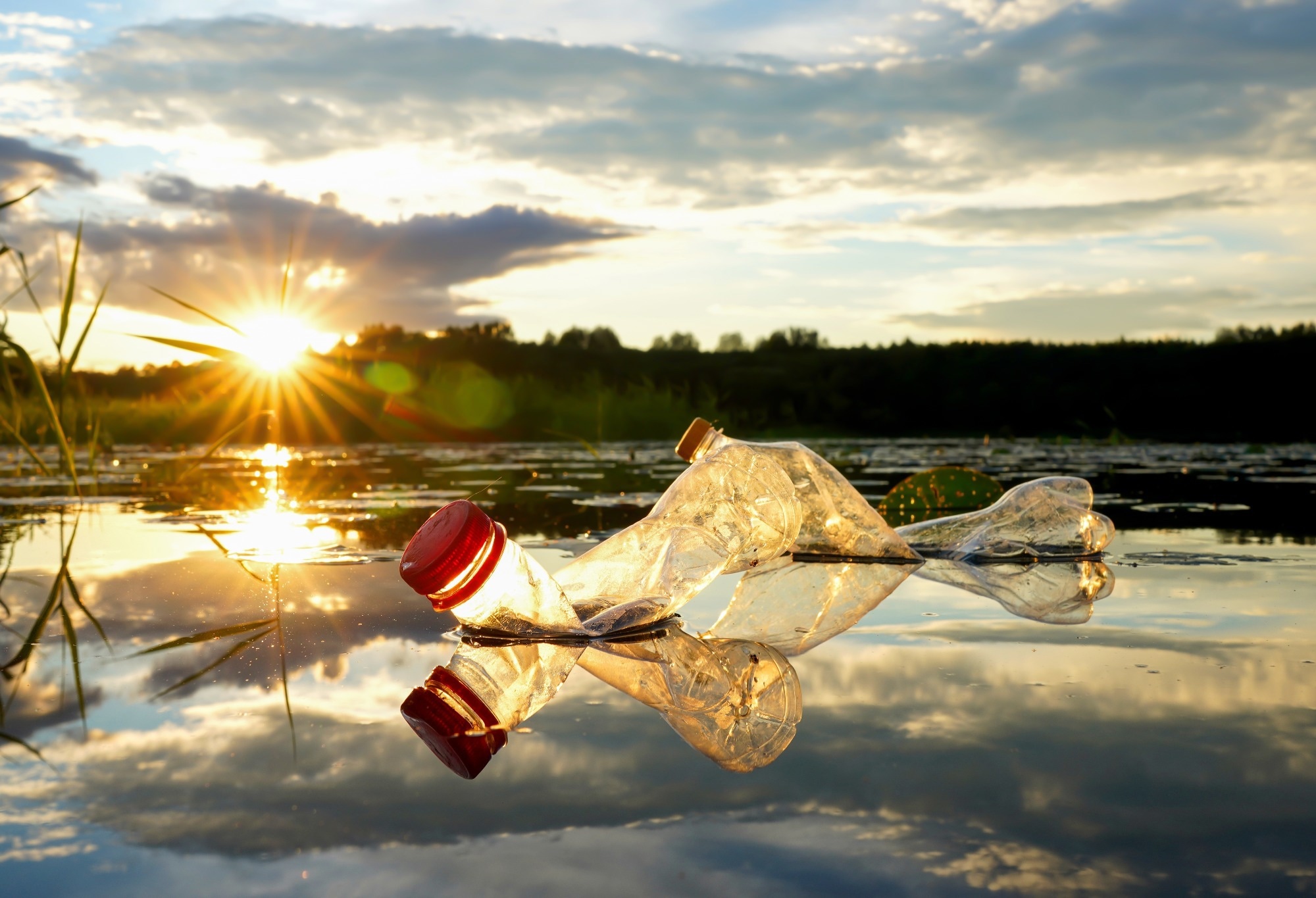 Plastic waste in lake. Garbage plastic bottle in water of pond.