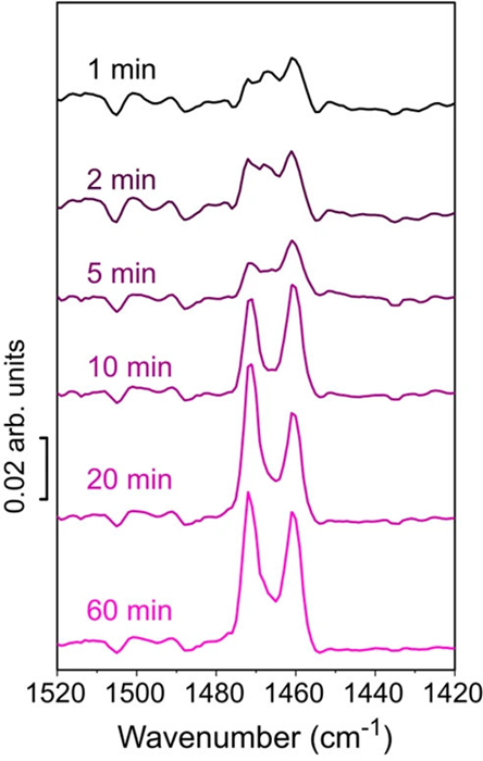 (Part of Fig. 3 from the publication) PiF-IR spectroscopy to study formed polyethylene as a function of ethylene polymerization time