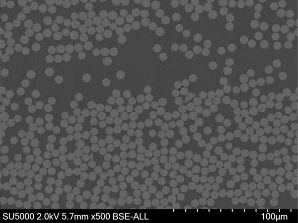 Cross-section BSE image of composite carbon fibers embedded in epoxy.