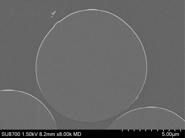 Cross-section BSE image of composite carbon fibres embedded in epoxy.