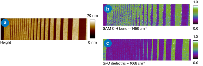 (a) Topography and (b/c) IR absorption maps of dense line-space structures with SAM on top of the lines and dielectric in the trenches. Scan size (horizontal) 10 μm