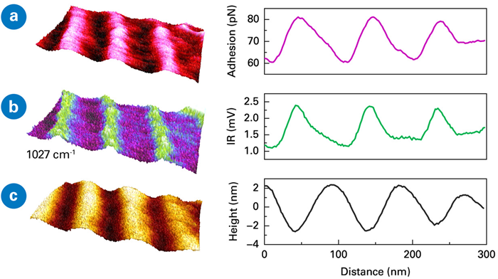 Resonance Enhanced Force Volume (REFV) AFM-IR data for (a) adhesion, (b) IR absorption, and (c) topography on a 35 nm thick photoresist exposed to a 50 mJ dose (325x159 nm scan). Sample courtesy: TNO Delft (NL) and University of Amsterdam (NL)