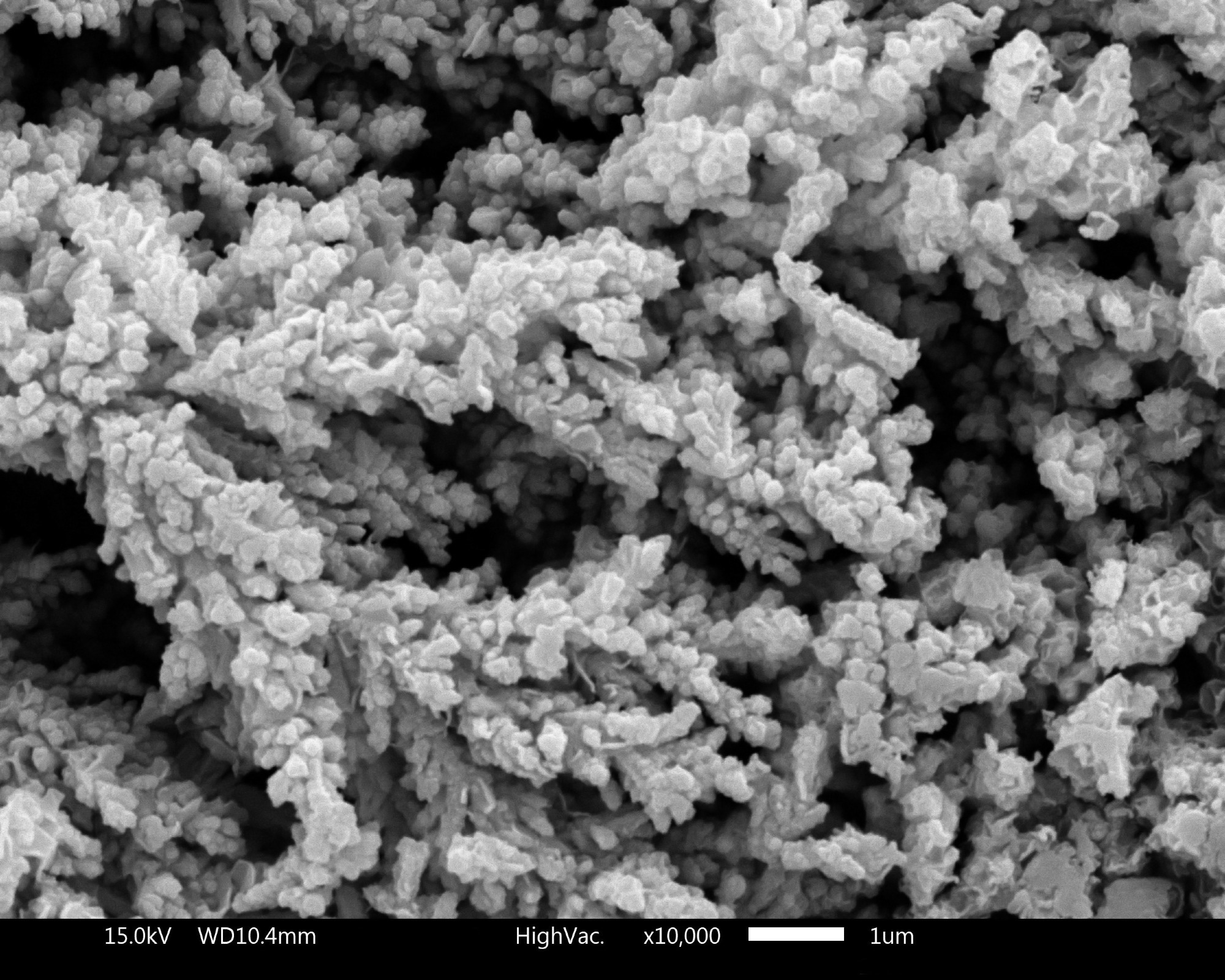 EM image of a nano surface.