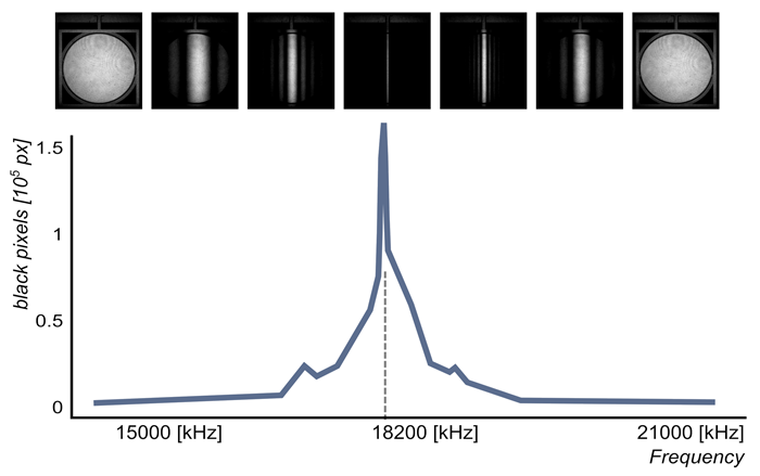 Intensity frequency scan. The frequency scanning step has been set to 200. This value sets the frequency resolution. Minimum steps are 0.1 Hz