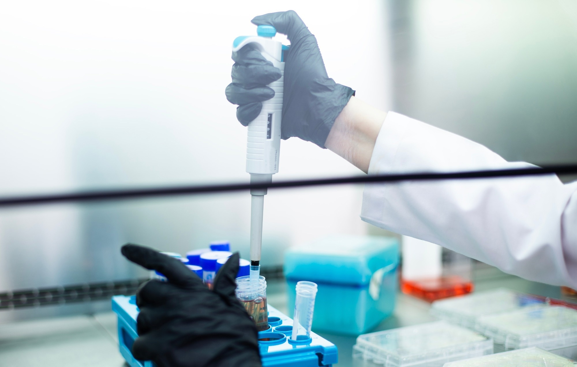 Cell culture at the medicine, medical and cell culture laboratory