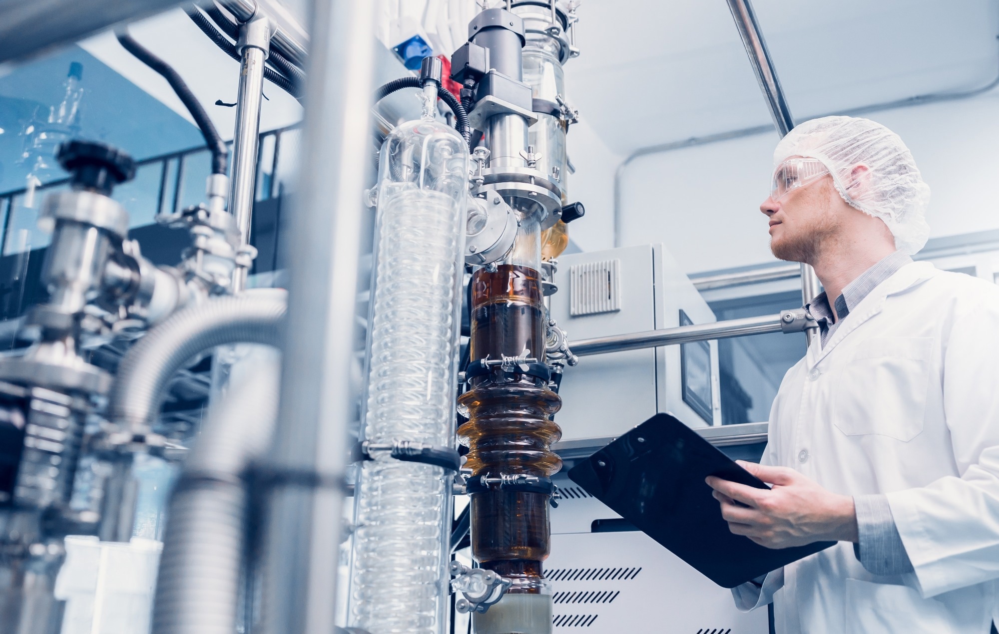 Science lab medical factory staff working for Cannabis CBD oil extraction.