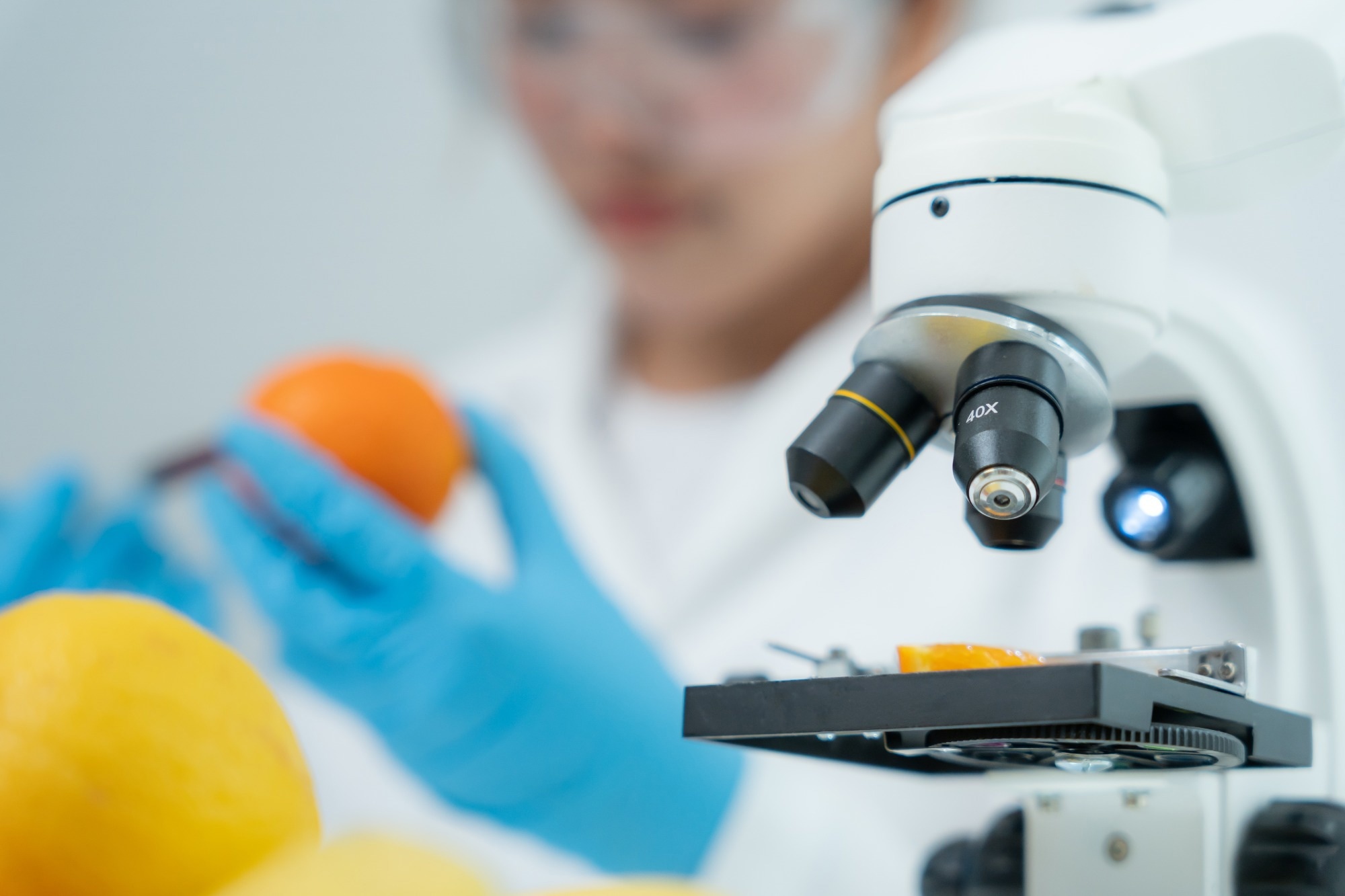 A photograph of food scientists doing research in a lab