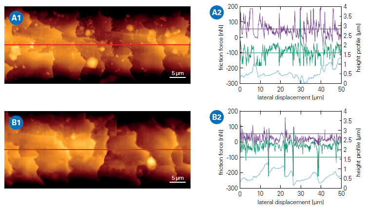 AFM analysis of a hair fiber before and after application of a conditioning hair care product. AFM topography images (left) of a hair fiber and corresponding friction measurements (right) along the hair fiber (indicated by the red line). The diagrams show the leveled height profile in blue and the corresponding friction forces: purple (trace) and green (retrace). A: Untreated hair fiber. Topography image (A1) and corresponding friction measurement (A2). B: Hair fiber after treatment with conditioner. Topography image (B1) and corresponding friction measurement (B2).