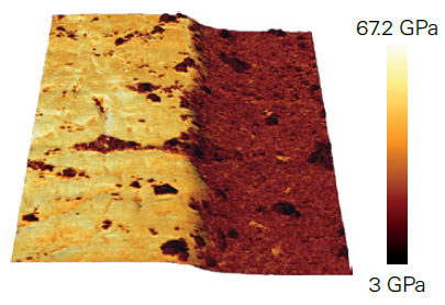 Contact resonance AFM imaging of the enamel-dentin junction of a human milk tooth cross section. Young’s modulus map overlaid onto the 3D-rendered topography, showing a strong mechanical contrast (50 GPa for enamel vs. 18 GPa for dentin), consistent with literature studies (scan size: 50×50 µm²). The sample was prepared by sanding, polishing, and subsequently cleaning with distilled water.