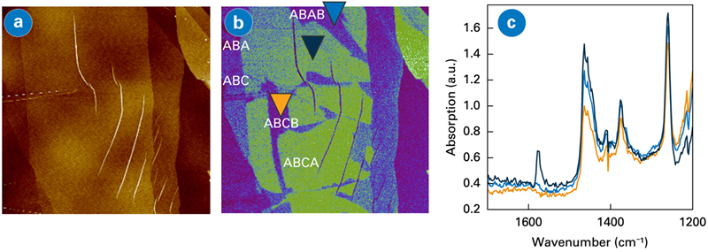 (a) Topography and (b) Tapping AFM-IR images at 1576 cm<sup>-1</sup> of multilayer graphene sample on SiO<sub>2</sub>. (c) Tapping IR spectra collected at three locations with markers of the same colors in the IR image. Scan size: 30x30 µm. Sample courtesy: Andrea Young, UCSB