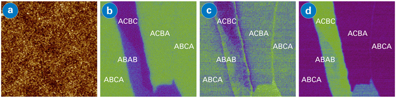 (a) Topography and (b-d) IR images at 1576, 1260, and 1128 cm<sup>-1</sup>, with (c) and (d) showing domain walls between ACBA and ABCA. Scan size: 3.5x3.5 µm. Sample courtesy: Andrea Young, UCSB