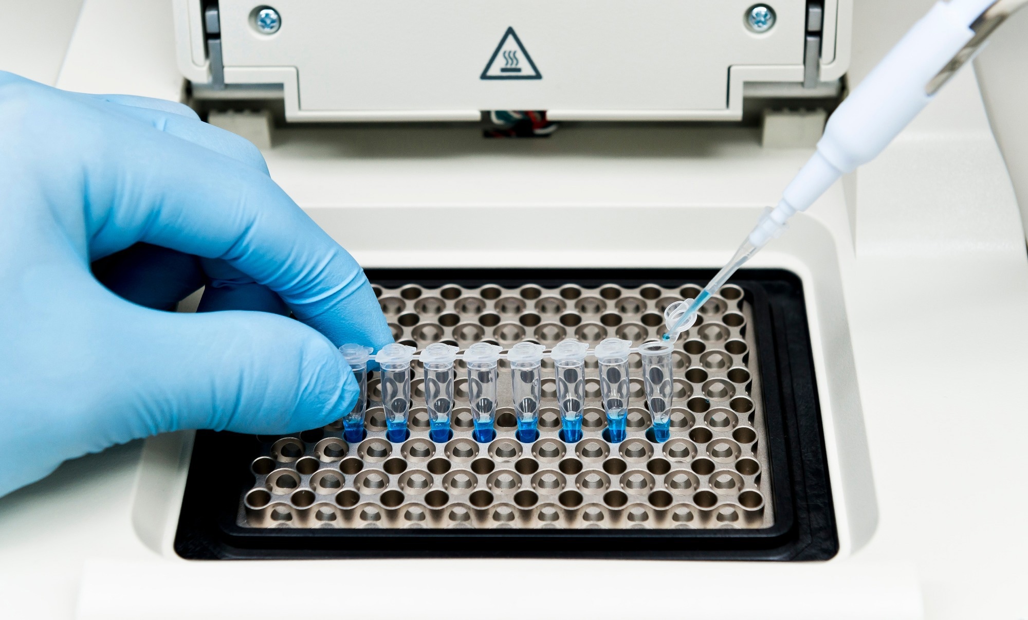 Researcher mixed DNA, polymerase, and oligonucleotides mixture in PCR tubes on the thermal cycler