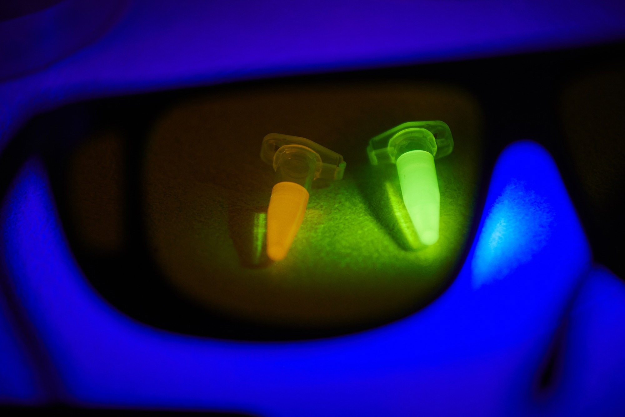 Plastic tubes  with orange and green luminescence in the dark due to ultraviolet radiation