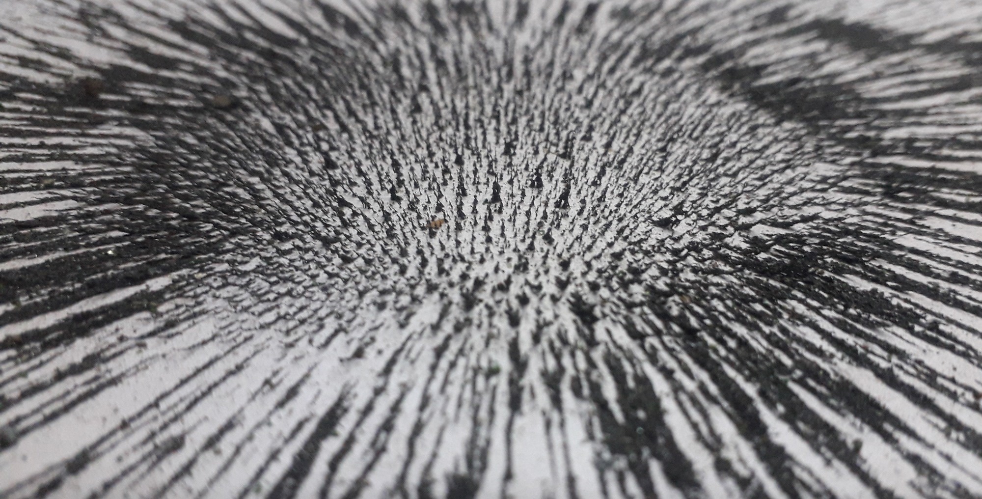 Magnetized iron filings around a central point, illustrative magnetic nanocatalyst concept