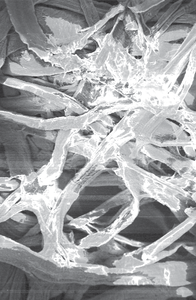 How Coating Thickness Affects the Appearance of Gold and Platinum in SEM Sputter Coating