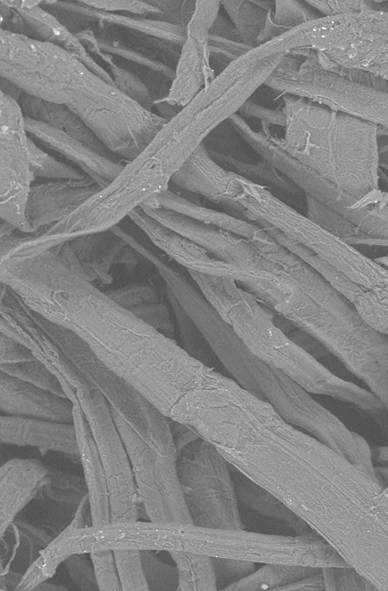 How Coating Thickness Affects the Appearance of Gold and Platinum in SEM Sputter Coating