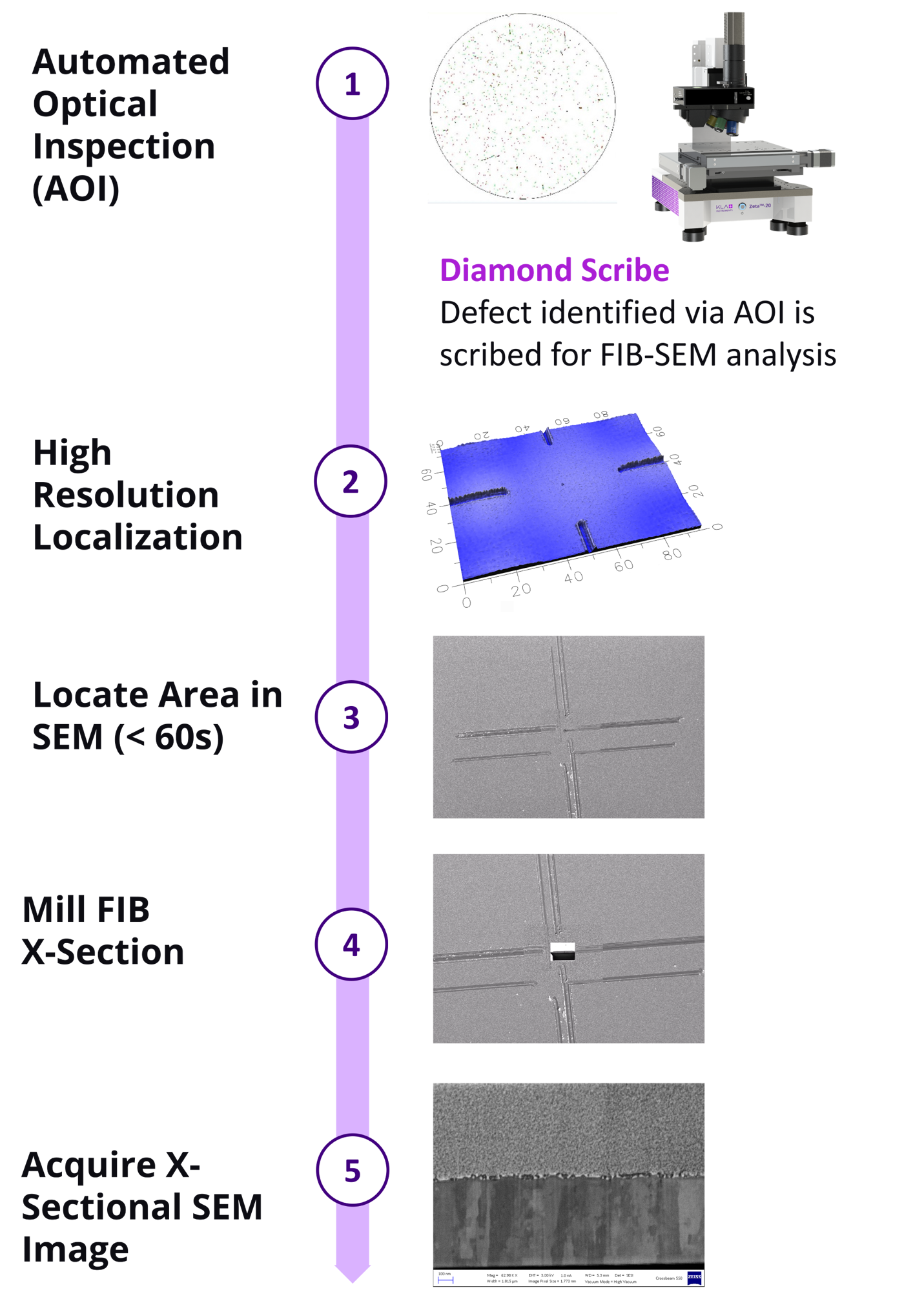 Sample preparation workflow for identifying, locating, marking and analyzing features of interest