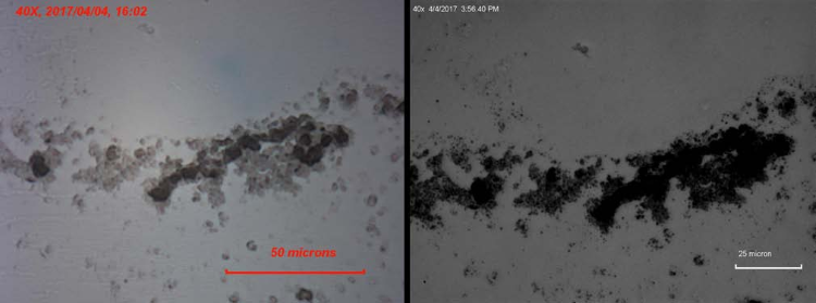 Standard visible images (left) and corresponding UV images at 280 nm (right) of single-walled CNT material dropcast on a quartz slide from an acetone suspension, at two representative sample locations. UV contrast at the CNT absorption maximum confirms nanotube location and distribution