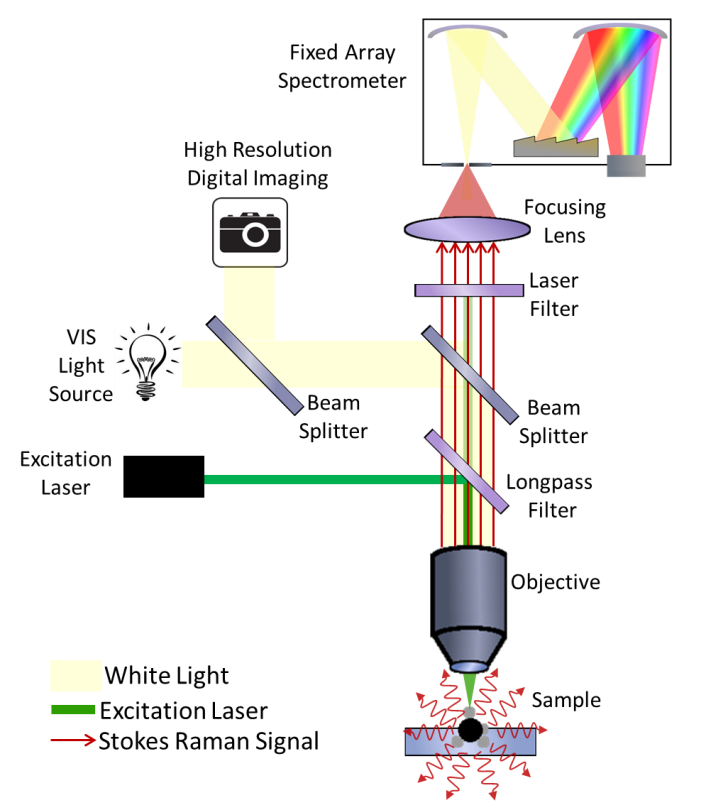 Optical diagram of a microspectrometer configured for Raman microspectra