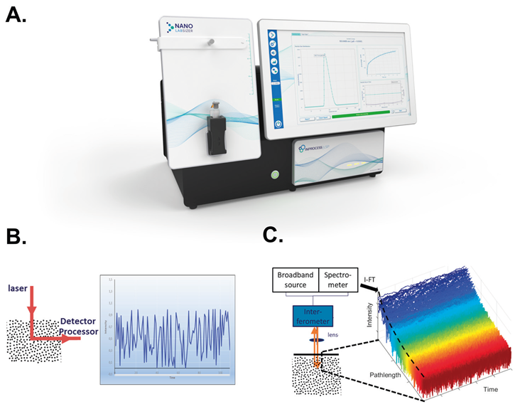 Spatially Resolved Dynamic Light Scattering (SR-DLS)